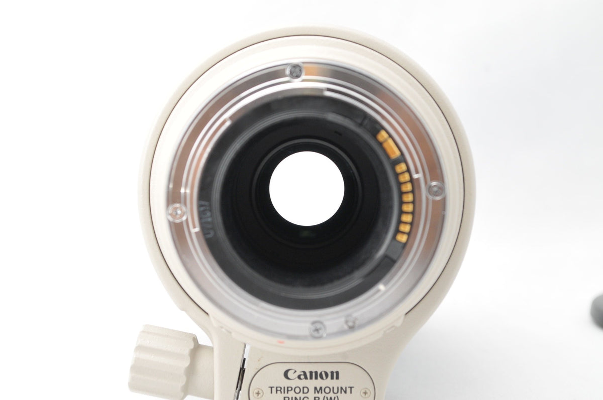 Canon EF 100-400mm lens construction-detail, robust outdoor-ready build.