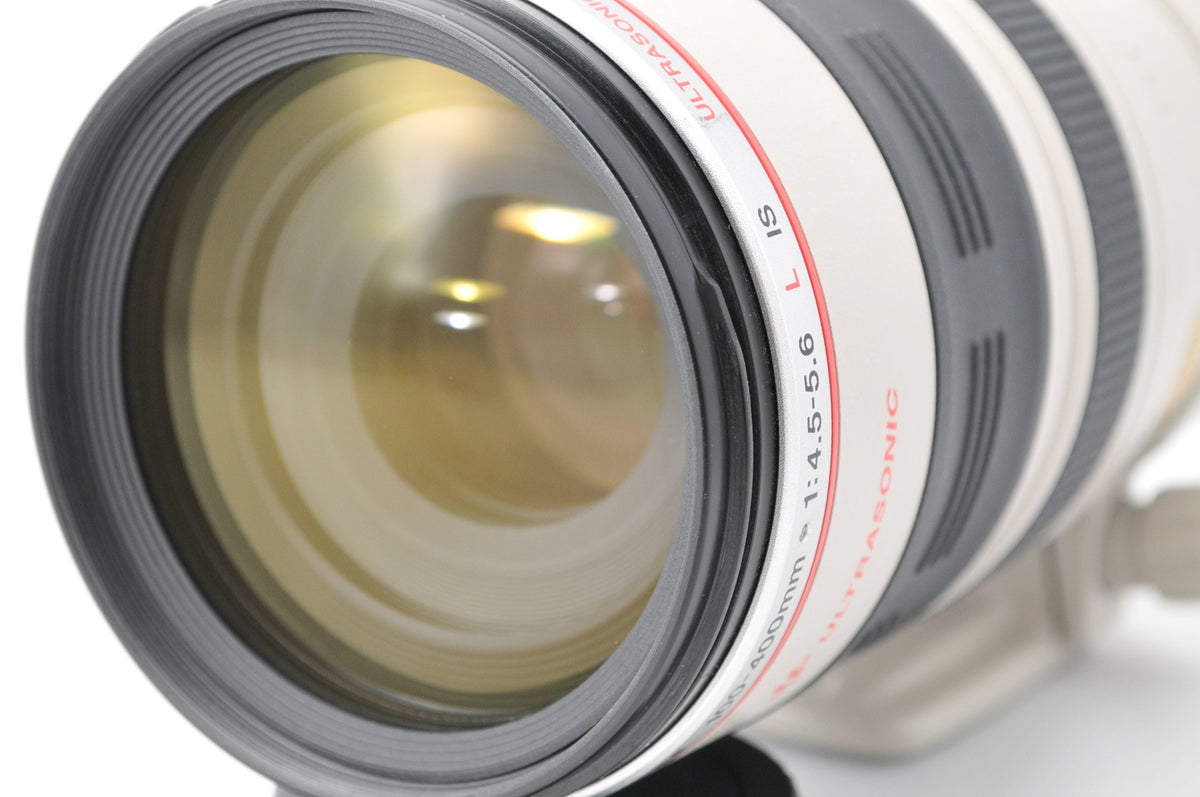 Canon EF 100-400mm lens hood-attached, weather-ready design for all-weather shooting.