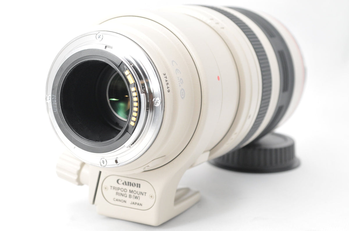 Canon EF 100-400mm lens mounted on camera, convenient handheld wildlife and sports capture.