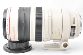 Canon EF 100-400mm lens wildlife-shot, crisp distant details with reliable stabilization.
