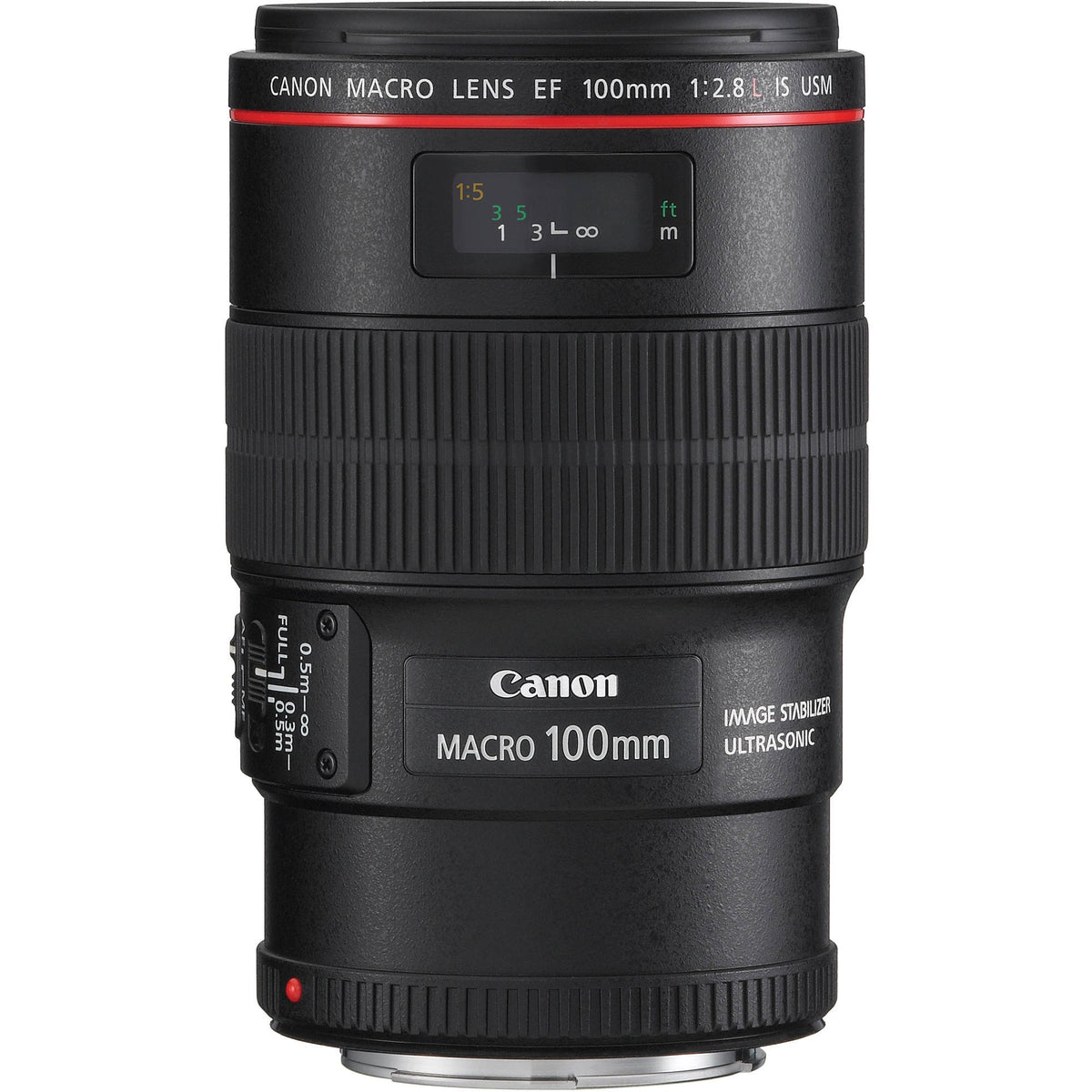 Canon EF 100mm macro lens in action offers 1x magnification for crisp detail on tiny subjects