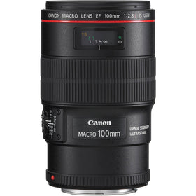 Canon EF 100mm macro lens in action offers 1x magnification for crisp detail on tiny subjects