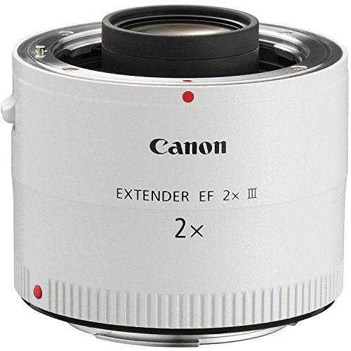Canon EF 2X III teleconverter mounted on a lens enabling greater reach in wildlife shots