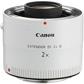 Canon EF 2X III teleconverter mounted on a lens enabling greater reach in wildlife shots