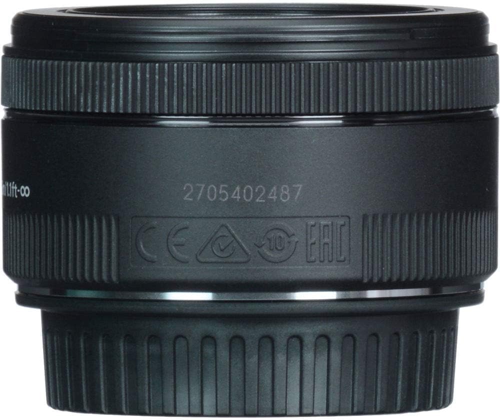 Canon EF 50mm f/1.8 STM lens bokeh demo, showcasing shallow depth.