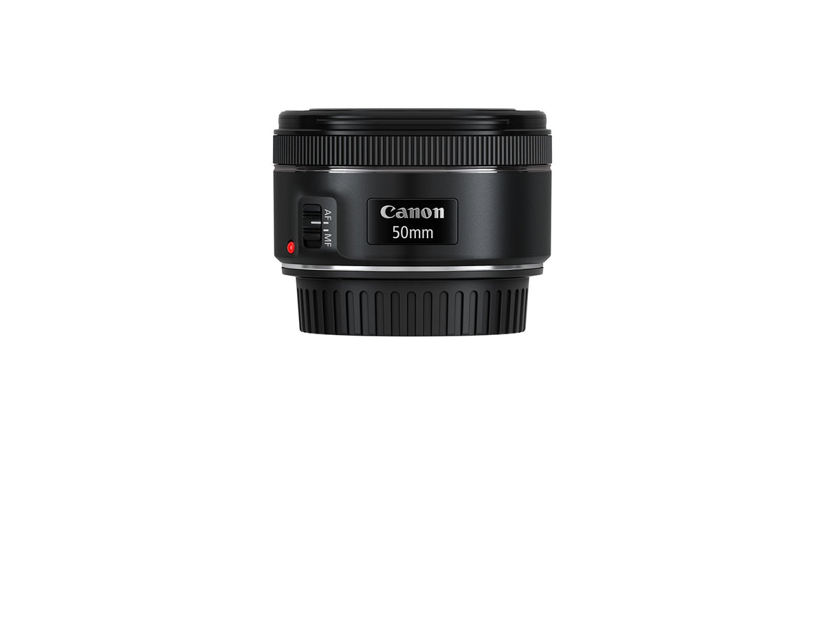 Canon EF 50mm f/1.8 STM lens close up details with soft bokeh