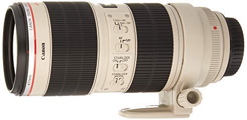Canon lens in action during event photography demonstrates reliable IS and fast AF