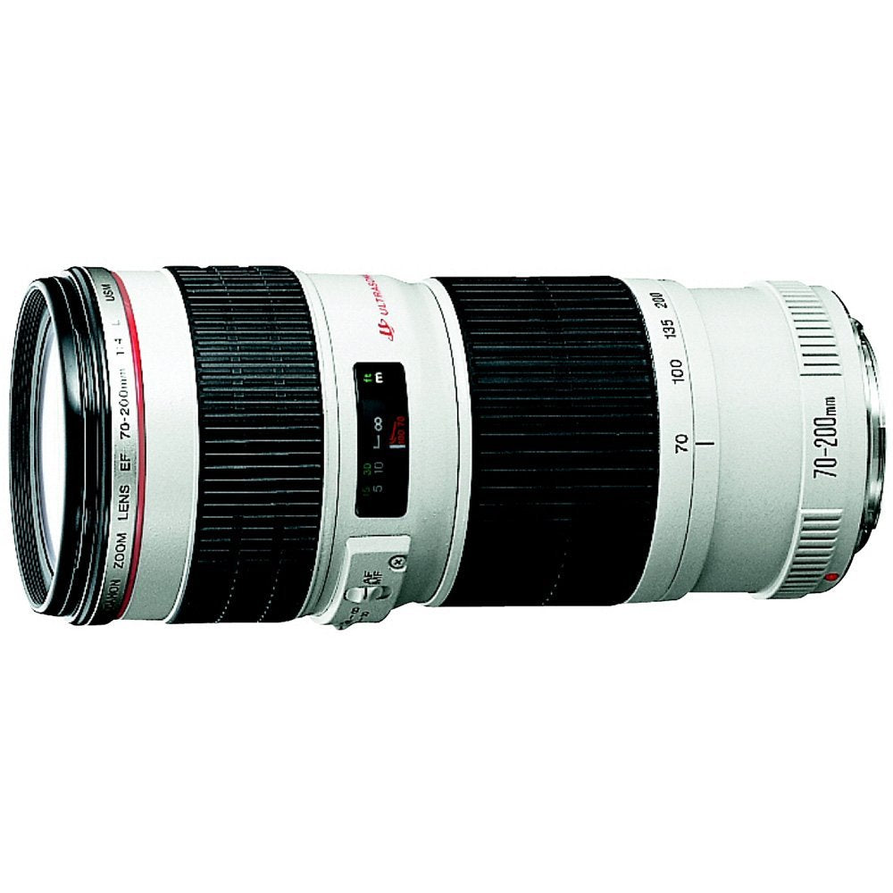 Canon EF 70-200mm f/4L IS USM lens, zoom range view, sharp handheld shots with image stabilization.