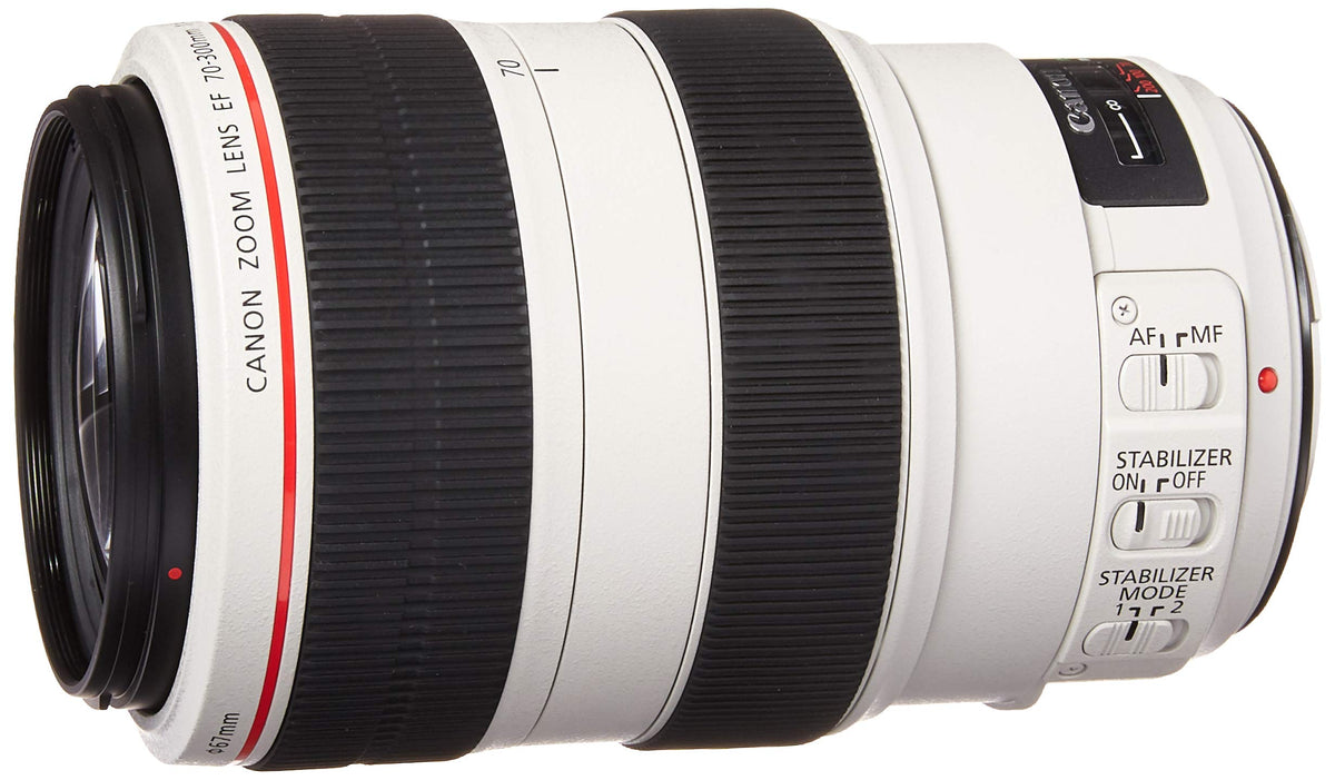Canon EF 70-300mm lens at full zoom capturing distant wildlife with sharp detail