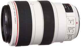 Canon EF 70-300mm lens at full zoom capturing distant wildlife with sharp detail