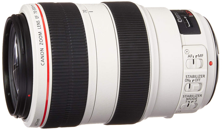 Canon EF 70-300mm lens at full zoom capturing distant wildlife with sharp detail
