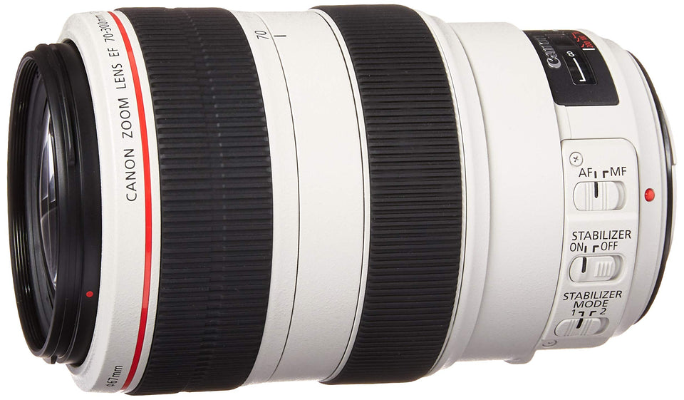 Canon EF 70-300mm lens at full zoom capturing distant wildlife with sharp detail