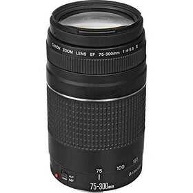 Canon EF 75-300mm III lens mounted on a Canon EOS DSLR for extended reach.