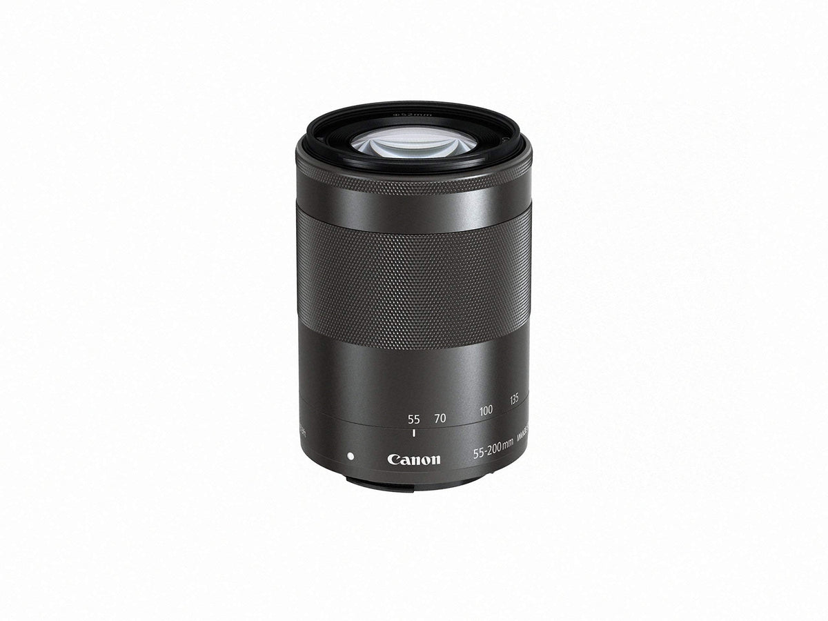 Canon EF-M 55-200mm architecture-telephoto framing from a distance