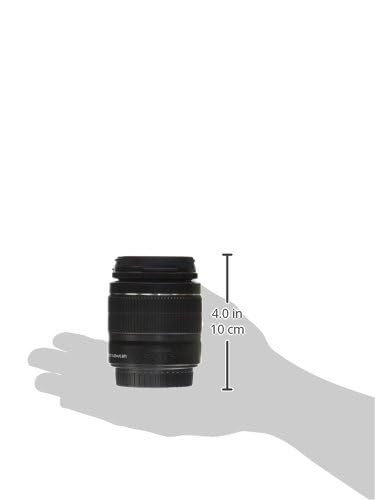 Canon EF-S 18-55mm lens circular aperture produces pleasing background blur