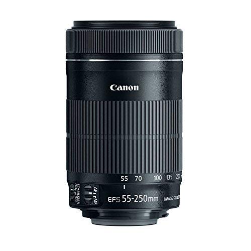 Canon EF-S 55-250mm IS STM lens in use, demonstrates reach for wildlife