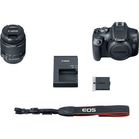Canon EOS 2000D lens hood reduces glare in bright conditions