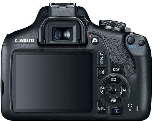 Canon EOS 2000D live view screen displaying color and focus