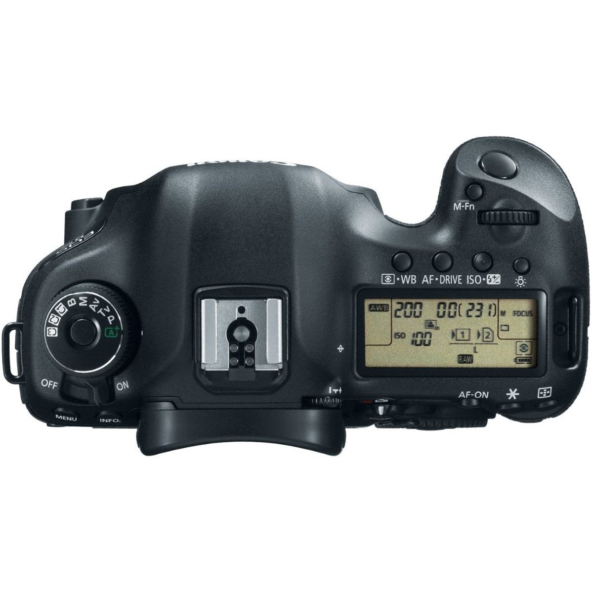 Canon EOS 5D Mark III in low-light capability supports cleaner images at higher ISO.