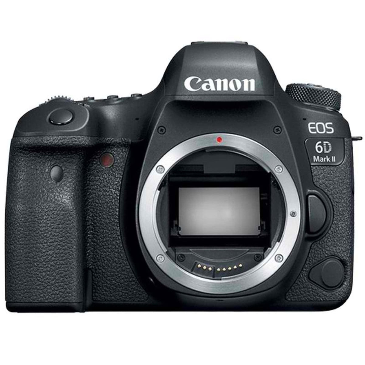 Canon EOS 6D Mark II full-frame sensor delivers sharp landscapes and rich portraits.