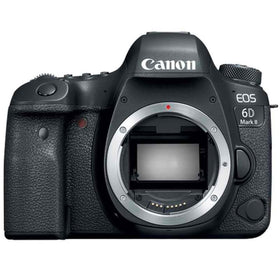 Canon EOS 6D Mark II full-frame sensor delivers sharp landscapes and rich portraits.