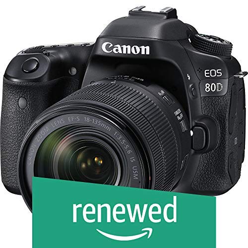 Canon EOS 80D renewed Dual Pixel AF supports smooth video autofocus for scenes.