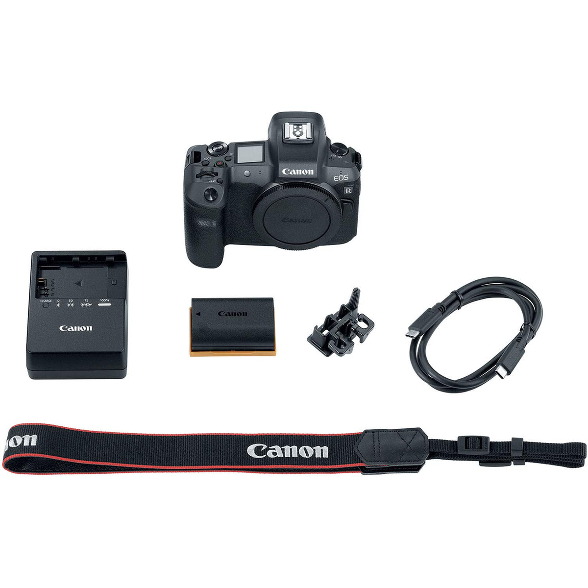 Canon EOS R compact portable design supports travel-friendly shooting.