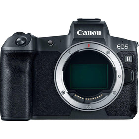 Canon EOS R full-frame sensor delivers detailed images in low light.