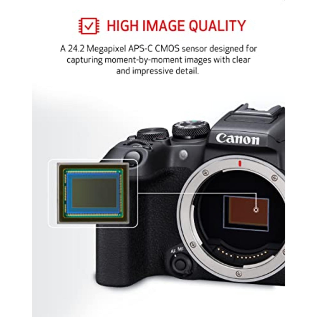 Canon EOS R10 LP-E17 battery pack for reliable power.