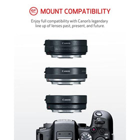 Canon EOS R10 USB Power Adapter PD-E for in-camera charging.