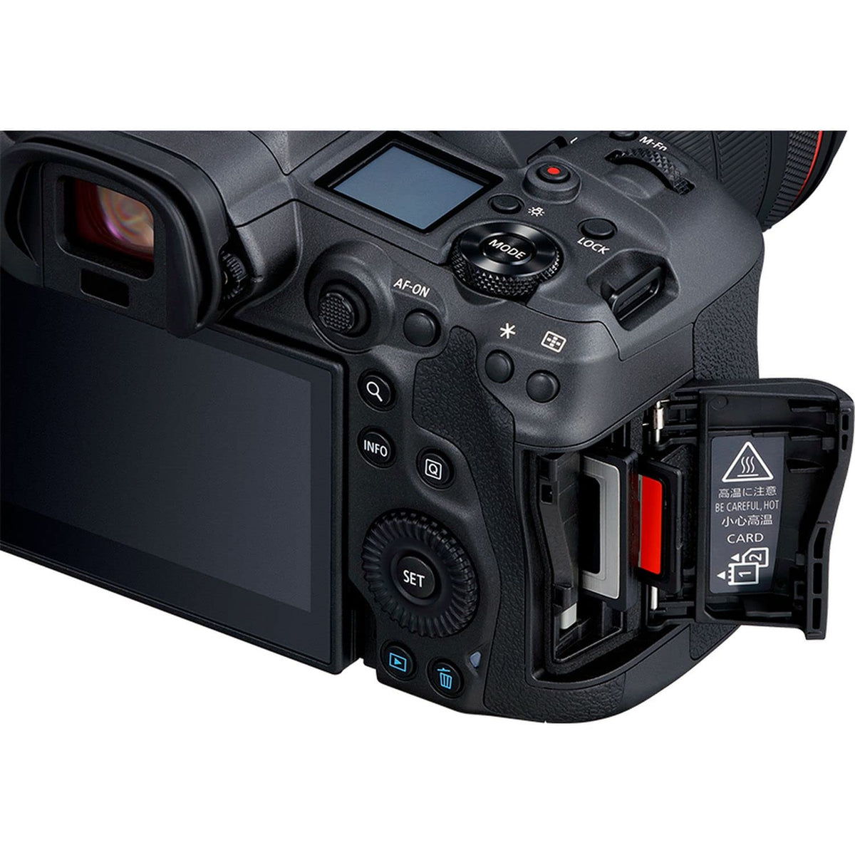 Canon EOS R5 45MP sensor captures rich detail in daylight and low light.
