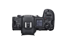 Canon EOS R5 Dual Pixel AF with 1053 zones enables precise tracking.