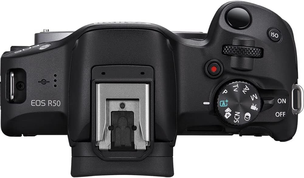 Canon EOS R50 15fps burst supports capturing fast moments.