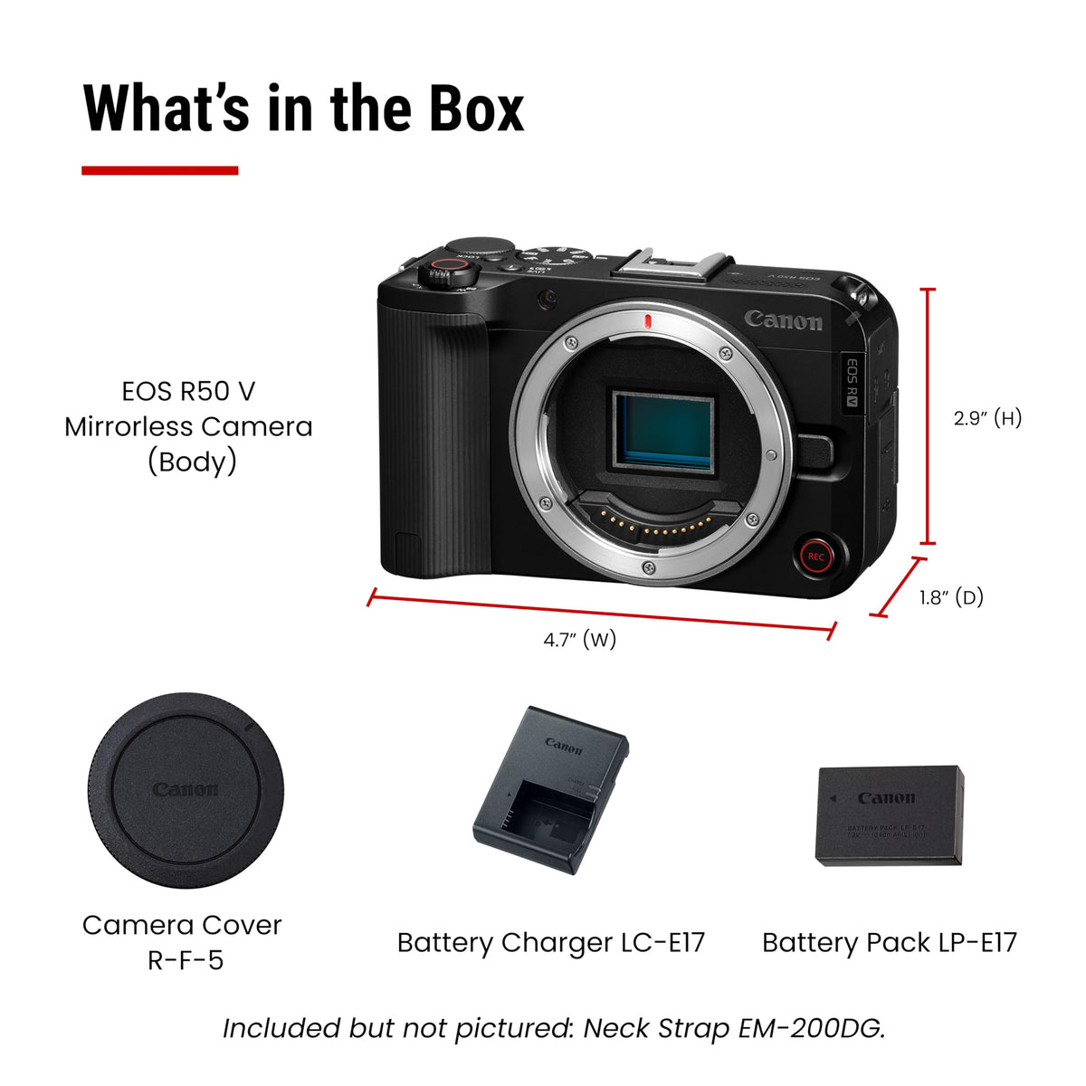 Canon EOS R50 V Dual Pixel AF II tracks people, animals, and vehicles for reliable focus.