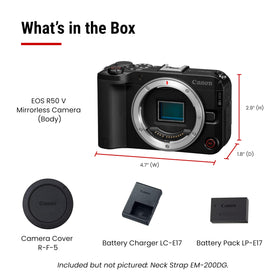 Canon EOS R50 V Dual Pixel AF II tracks people, animals, and vehicles for reliable focus.