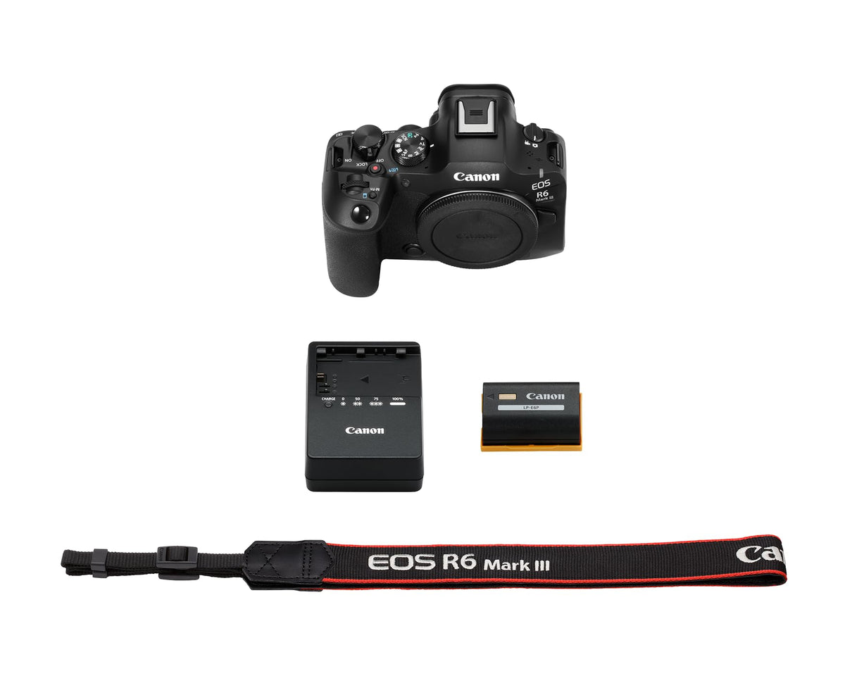 Canon EOS R6 Mark III Dual Pixel AF II tracks subjects with precision.