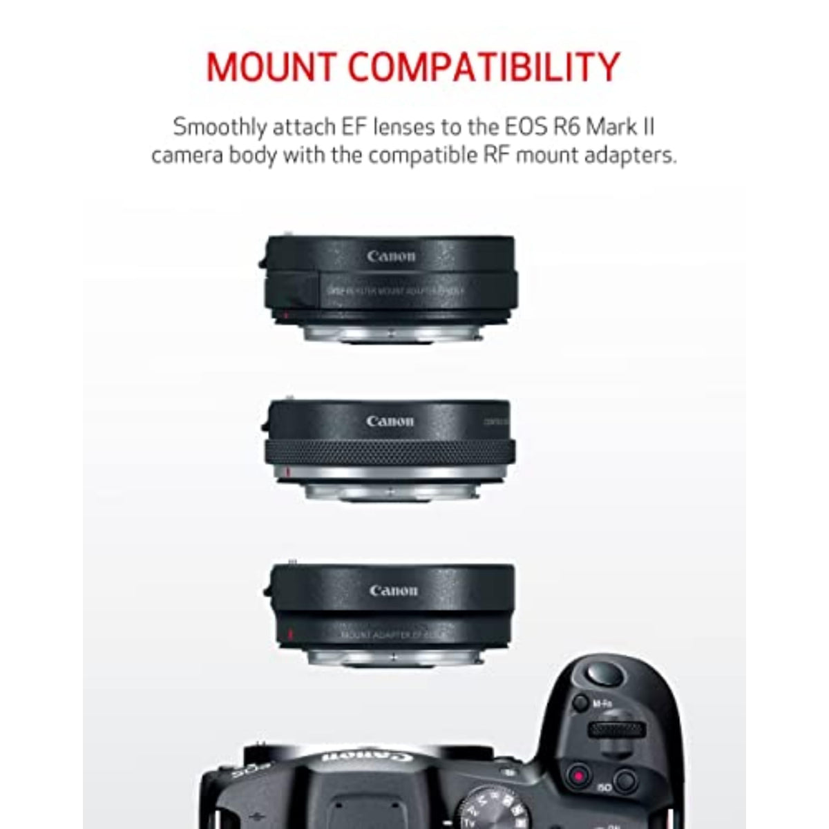 Canon EOS R6 Mark II back LCD showing fully articulating display for easy framing.