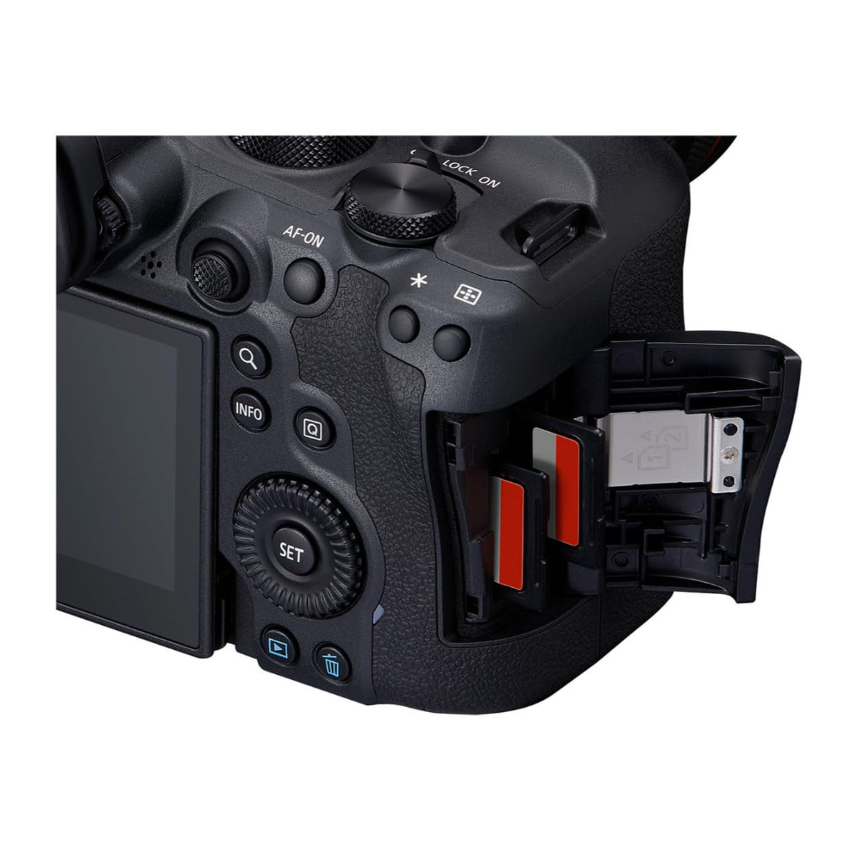 Canon EOS R6 Mark II body AF in low light for consistent focus.