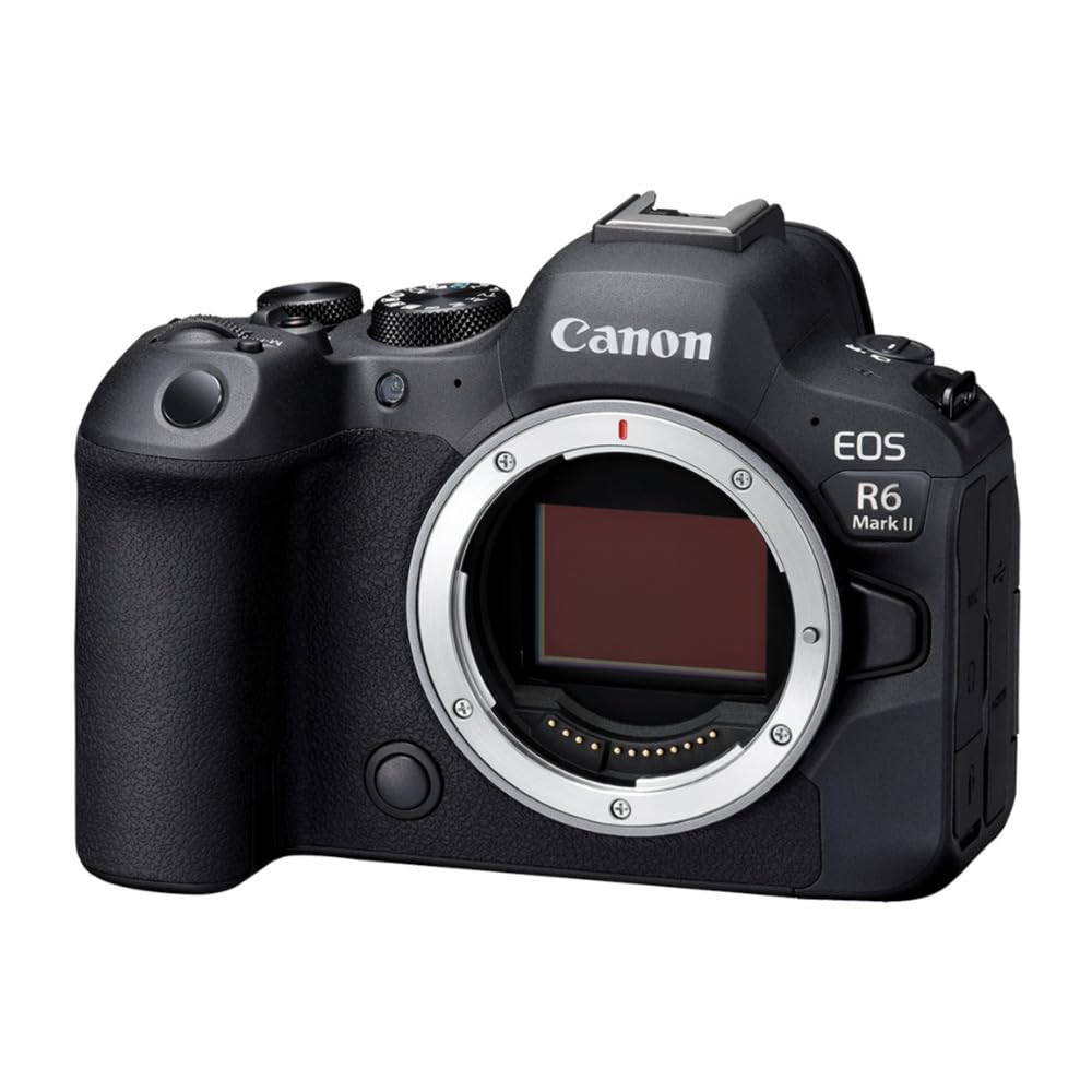 Canon EOS R6 Mark II body rear LCD, crisp viewing for accurate framing.