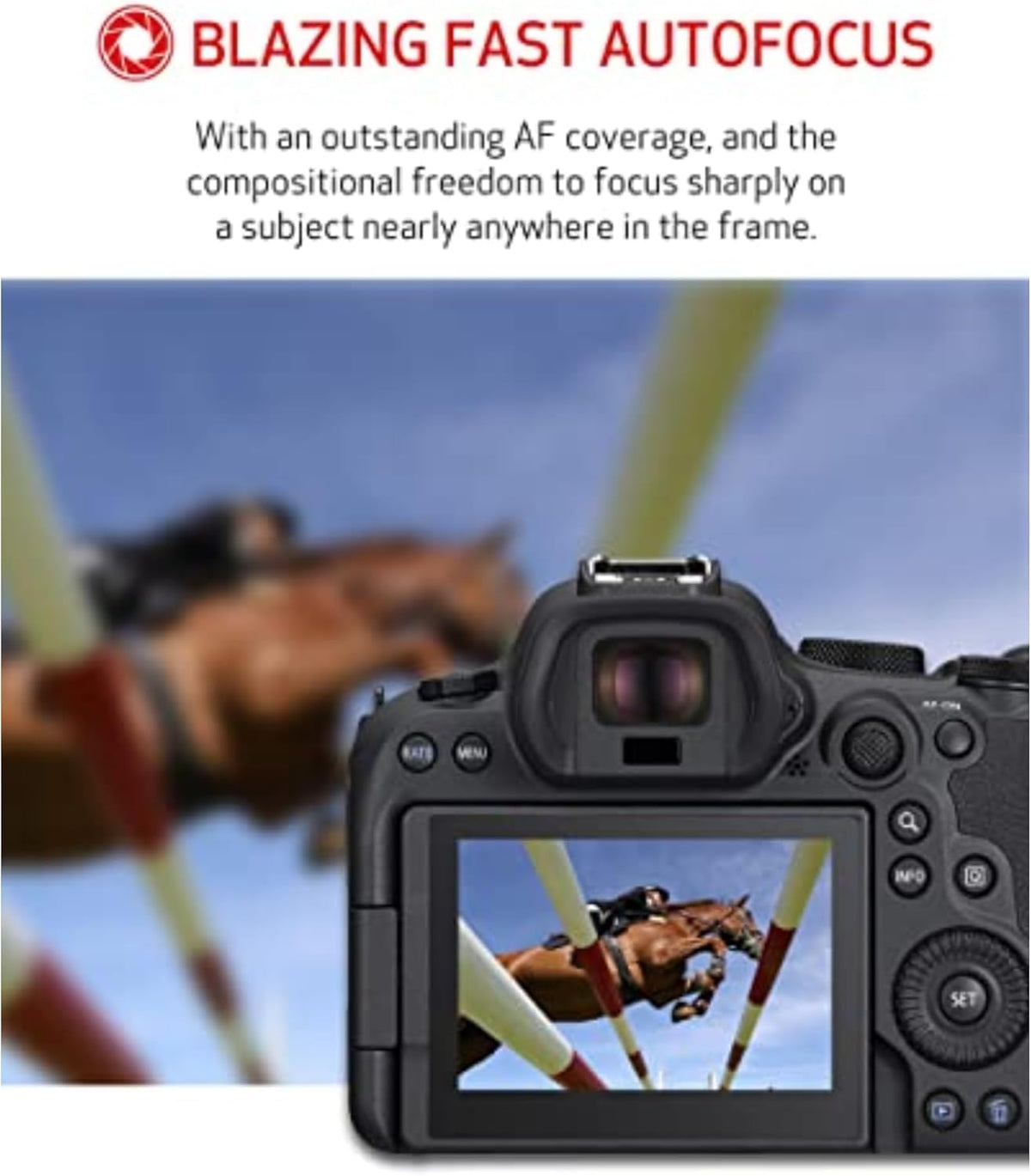 Canon EOS R6 Mark II with DIGIC X processor for fast, clean images.
