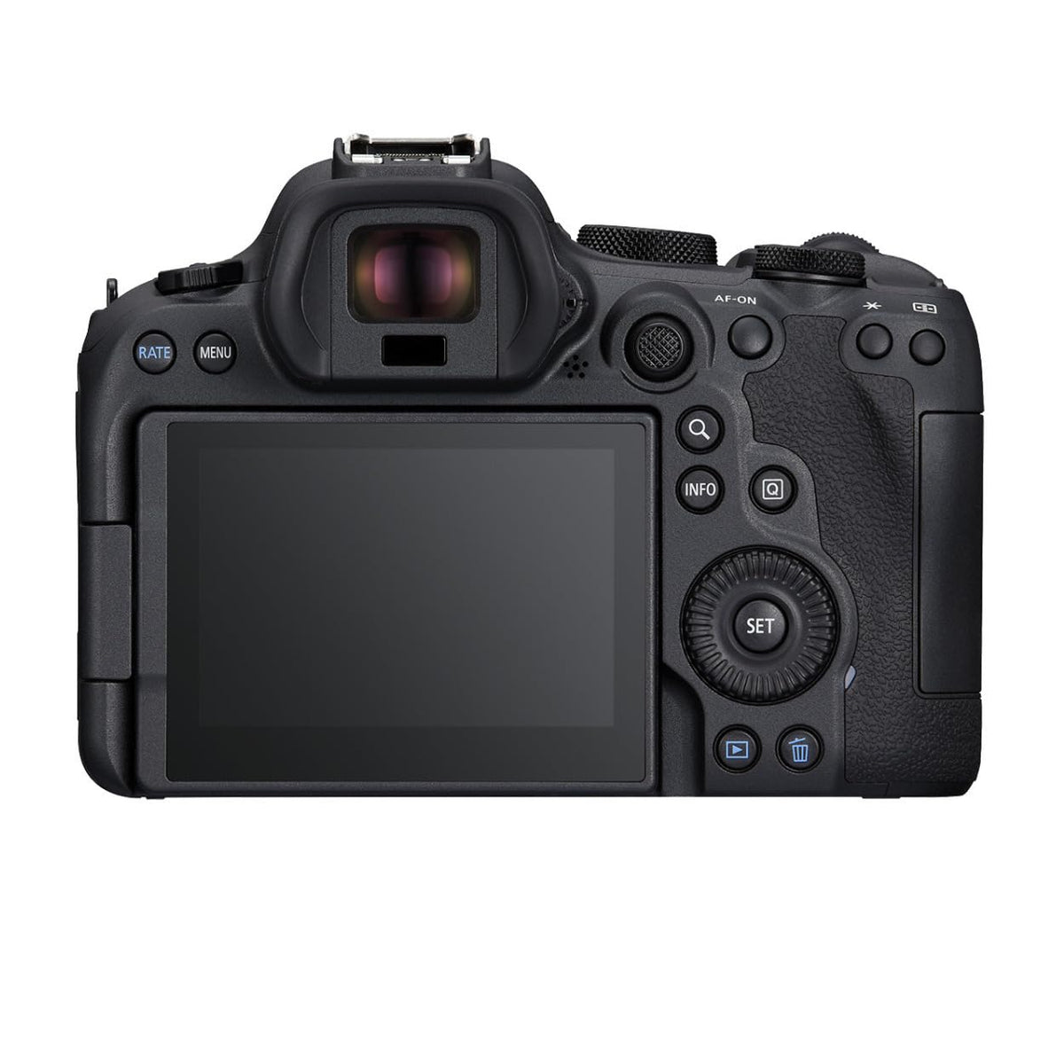 Canon EOS R6 Mark II electronic viewfinder for bright, precise composition.