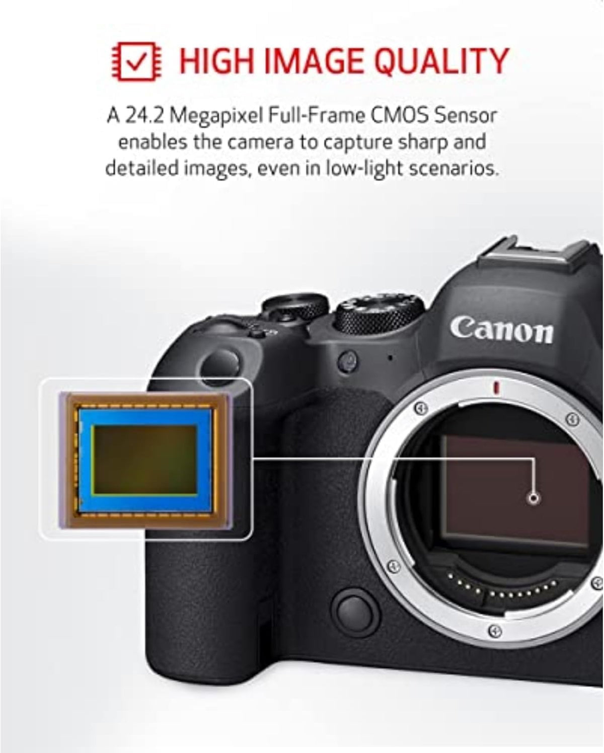 Canon EOS R6 Mark II 24.2MP sensor for sharp low-light photos.