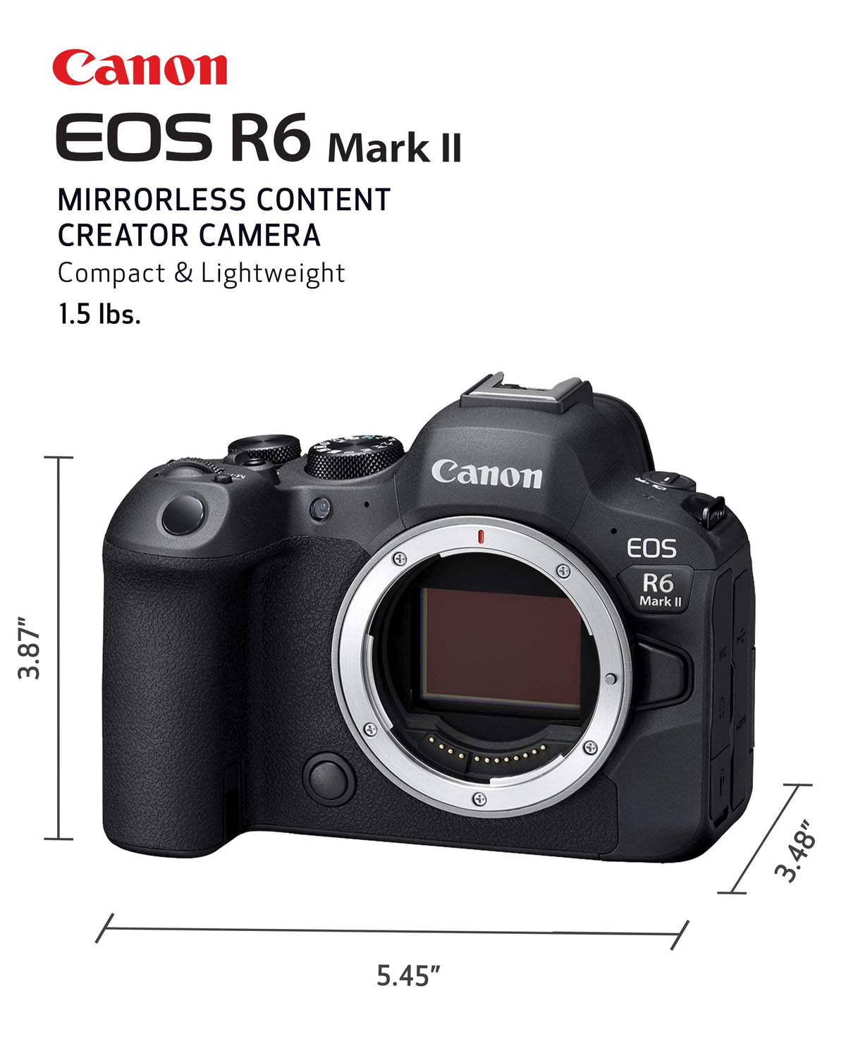 Canon EOS R6 Mark II vari-angle LCD enabling high- and low-angle framing.