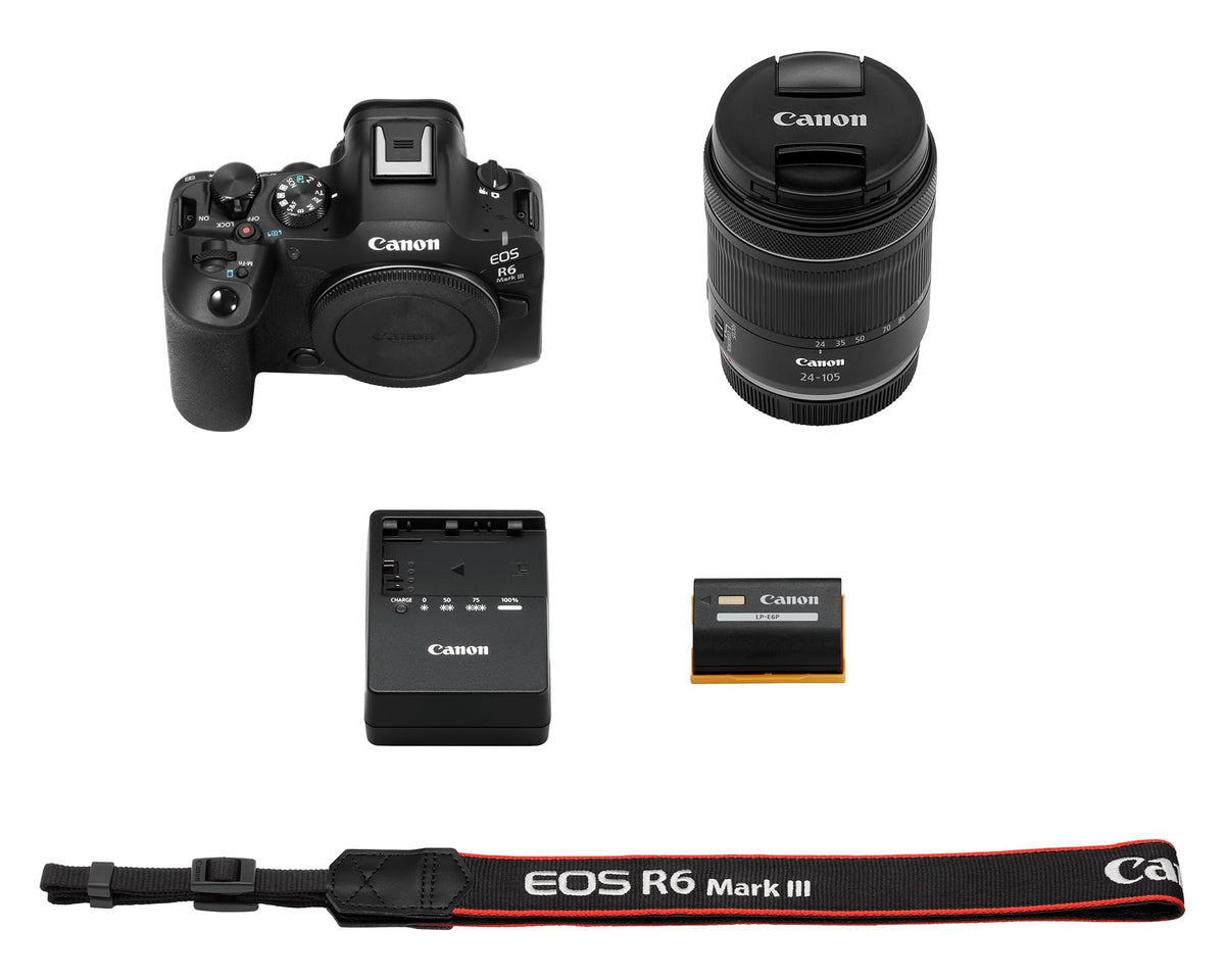 Canon EOS R6 Mark III in low light shows high-detail handheld performance.
