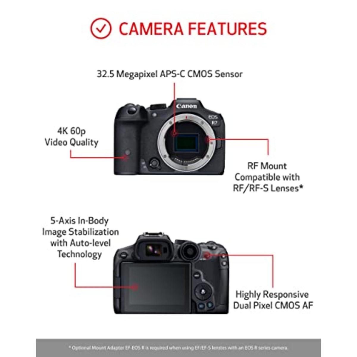Canon EOS R7 LCD monitor close-up with anti-smudge coating