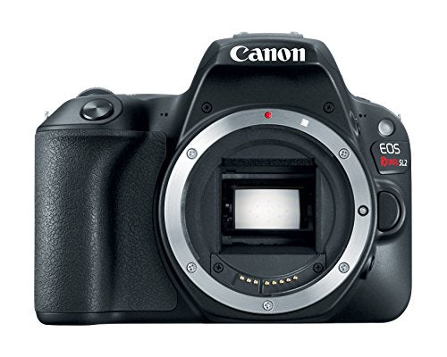 Canon EOS Rebel SL2 camera controls with mic input and quick settings for narration