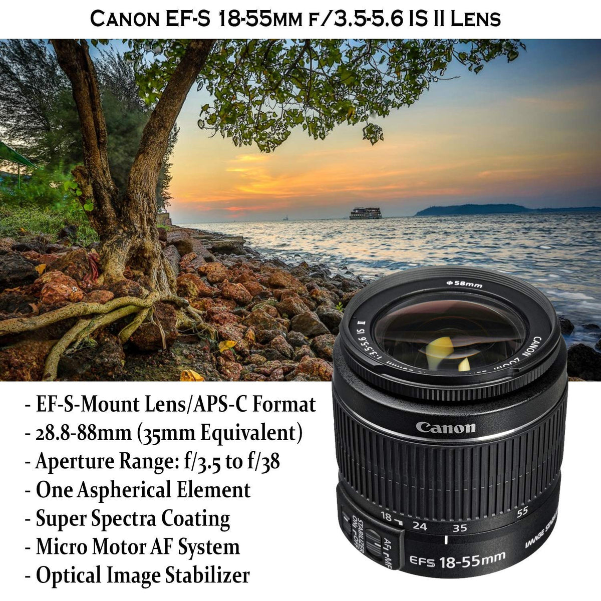 Canon EOS Rebel T7 500mm preset lens captures distant details.