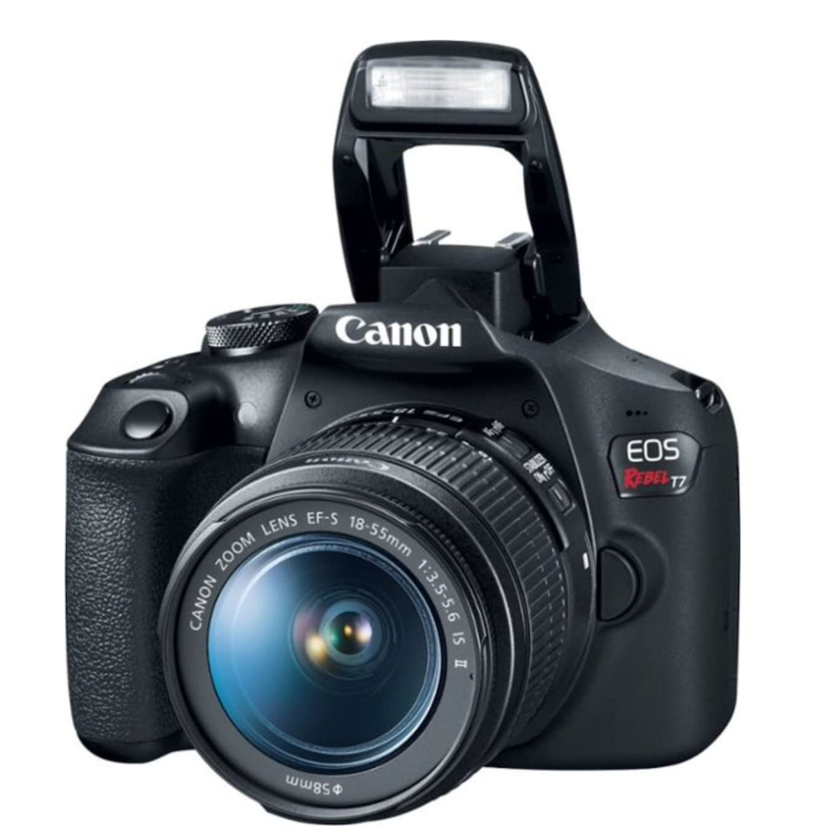 Canon EOS Rebel T7 with 75-300mm lens enables versatile zoom for distant subjects.