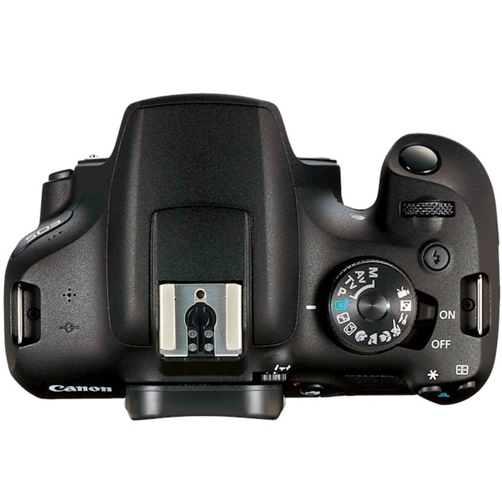 Canon EOS Rebel T7 camera bag protecting gear during travel