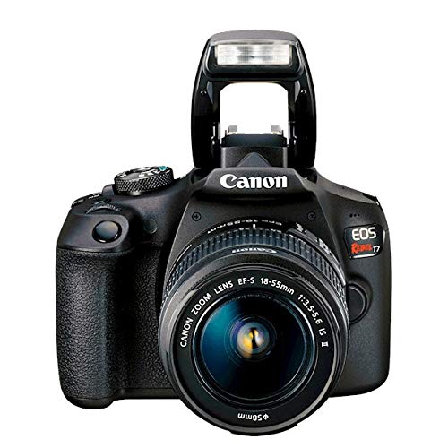 Canon EOS Rebel T7 in Deco Gear camera bag for safe storage.